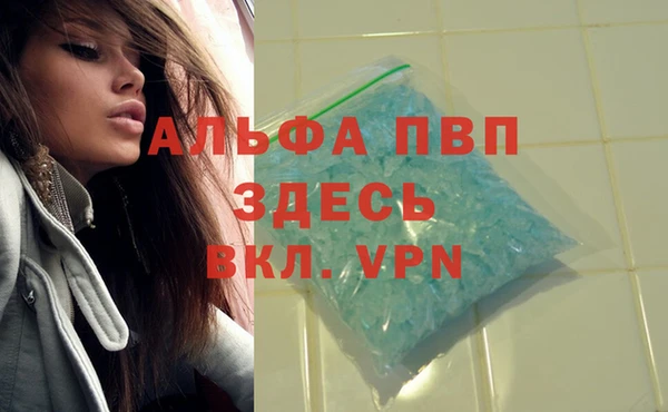 стафф Белоозёрский