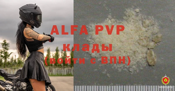 mdpv Белокуриха