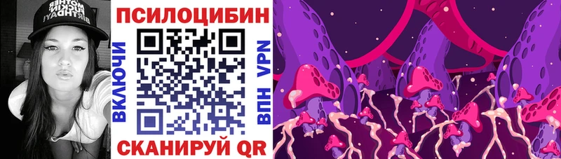 mega ТОР Скопин Галлюциногенные грибы Psilocybe